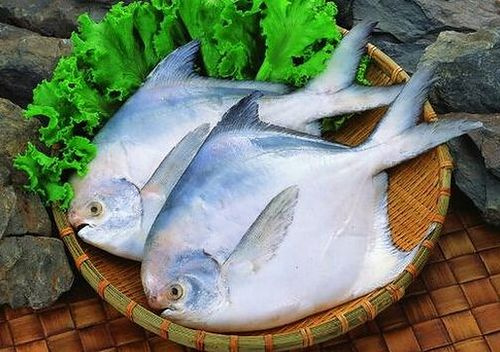 白鲳